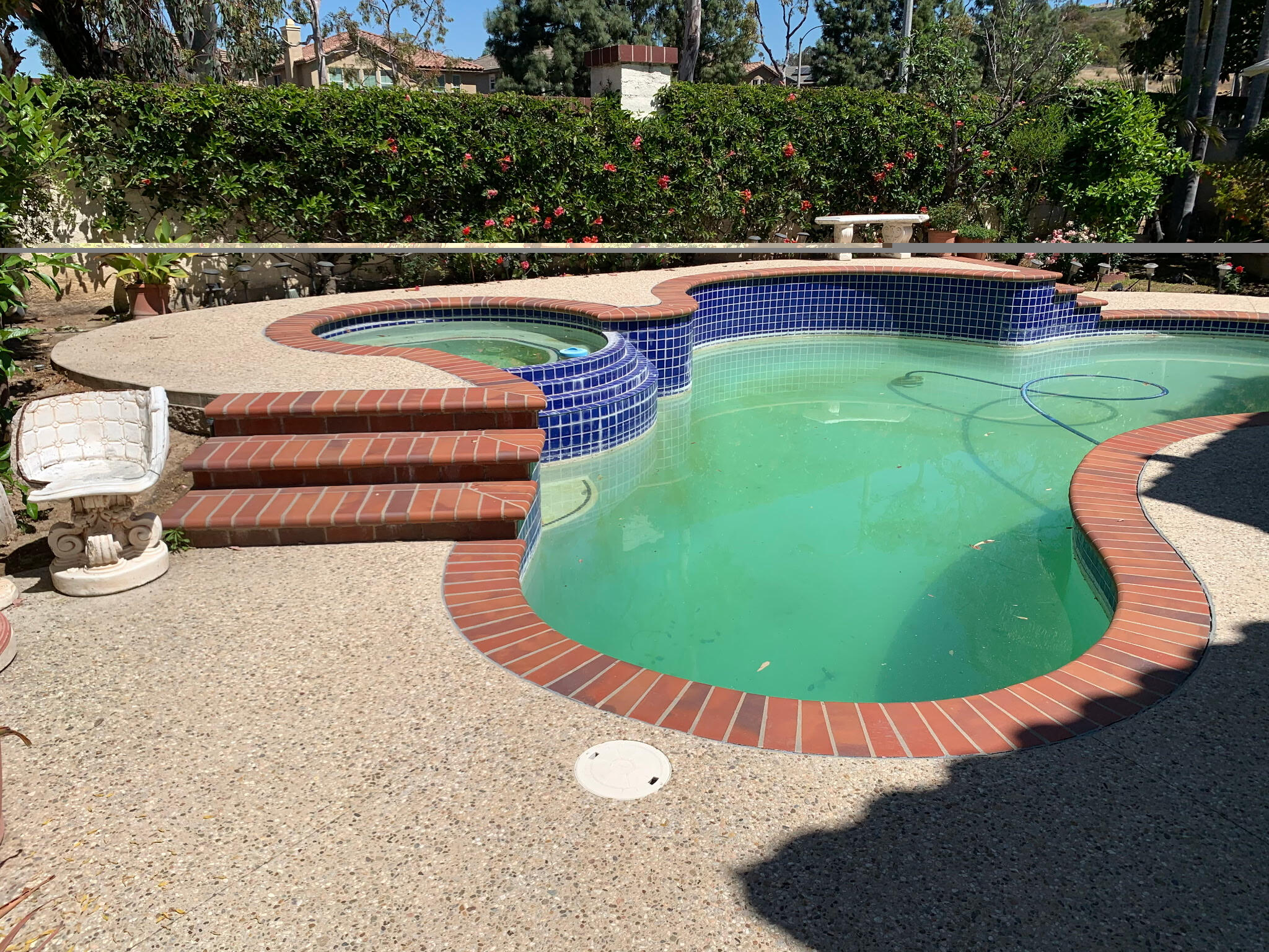 Backyard Pool Demo 6